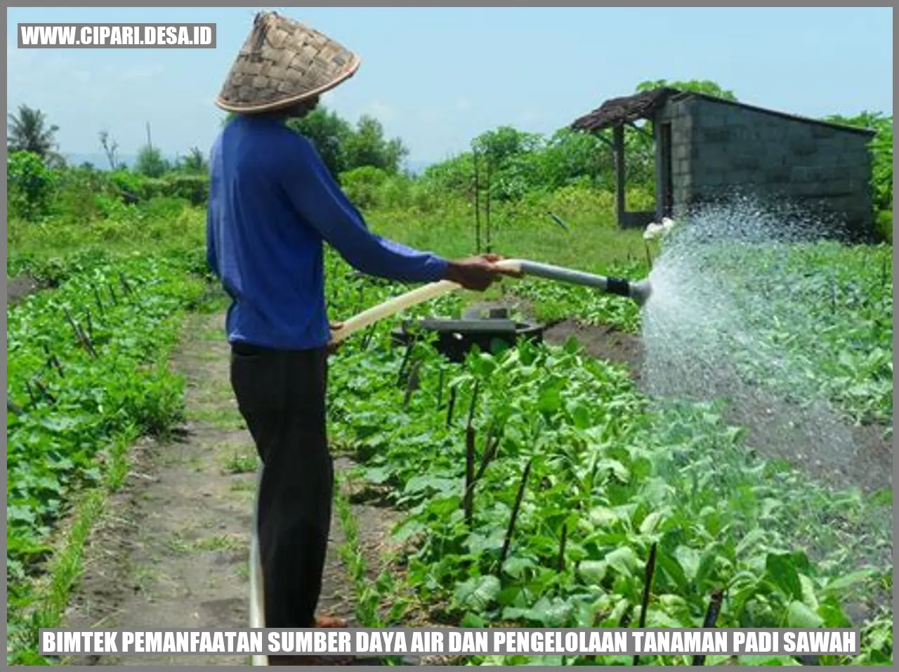 Bimtek Pemanfaatan Sumber Daya Air dan Pengelolaan Tanaman Padi Sawah