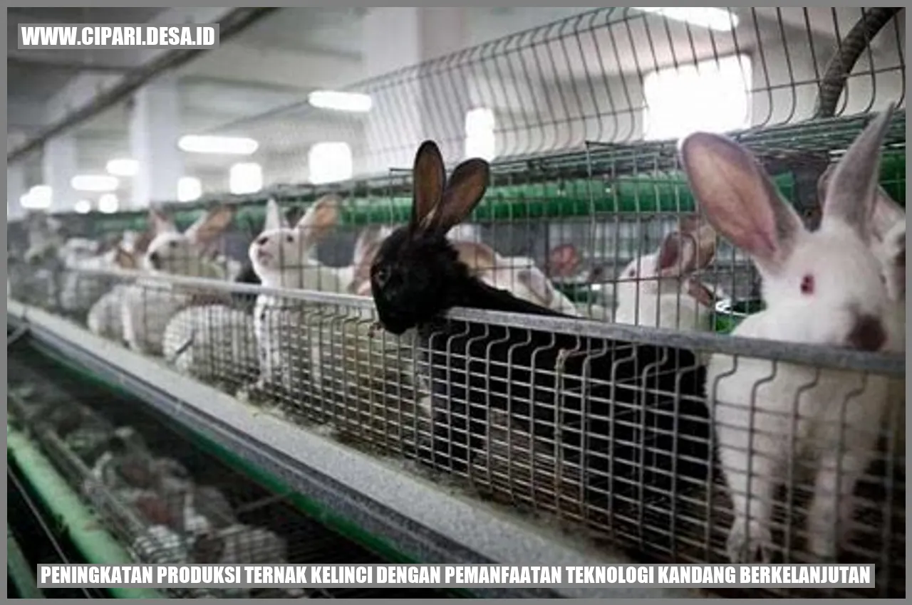 Kelinci di kandang