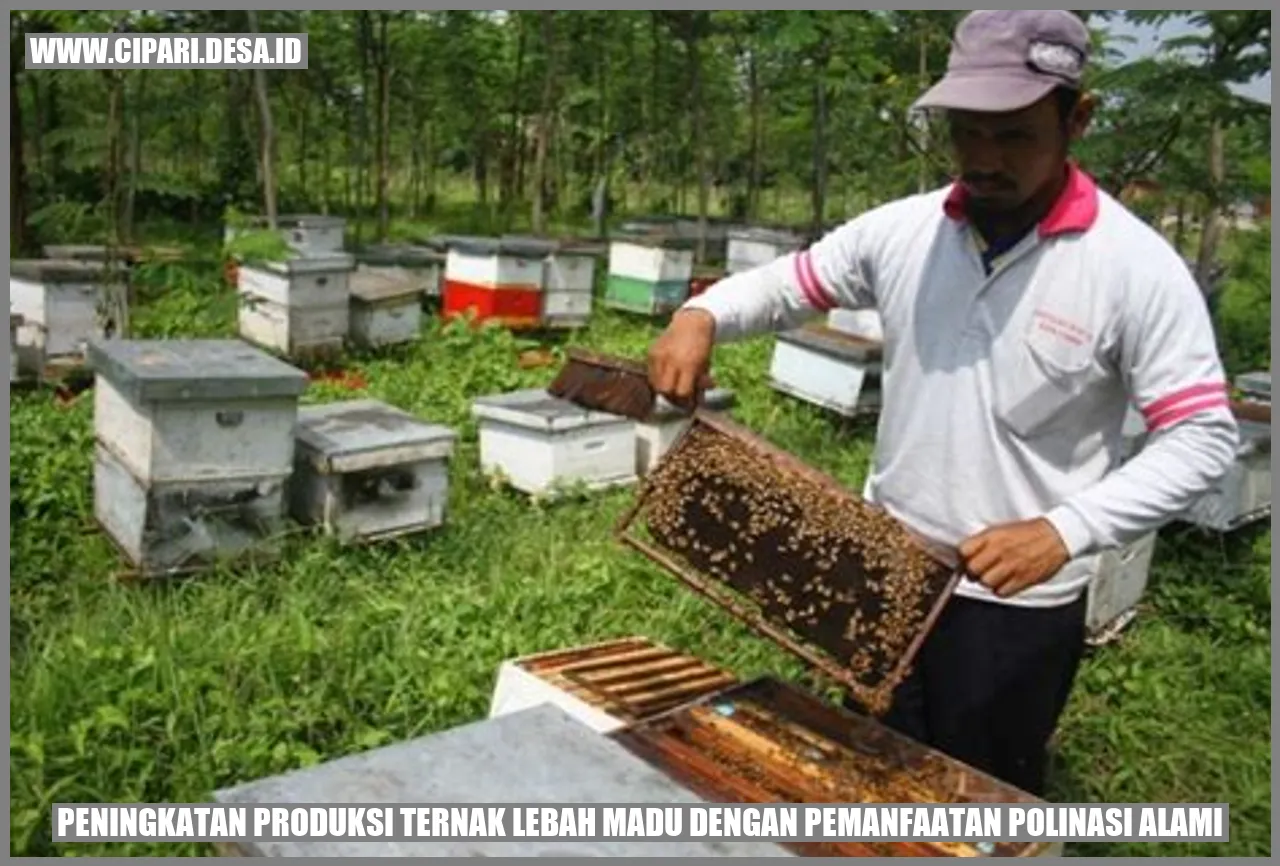 Lebah madu